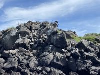Bootstour vor North Seymour Island