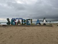 Isla Isabela - Strand