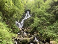 10. Reisetag – Ring of Kerry – Spaziergang vom Torc Waterfall zum Muckross House