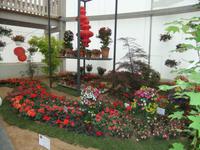 In der Blumehalle
