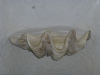 … und hat das passende Weihwasserbecken.