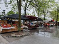 Marktplatz Ljubljana.jpg
