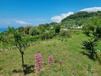 Wanderung zur Villa Jovis...