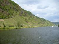 Weinberge an der Mosel