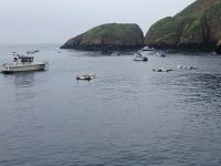 im alten Hafen von Sark