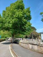 Inselrundfahrt auf Jersey