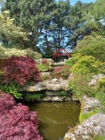 Besuch im  Botanischen Garten Samares Manor