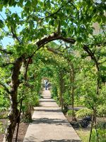 Besuch im  Botanischen Garten Samares Manor