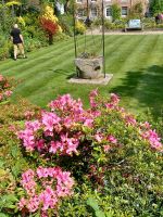 Besuch schöner Gärten 