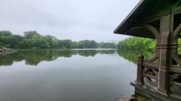 Städtereise New York - Stadtrundfahrt - The Lake, Central Park