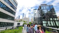 Städtereise New York - High Line Park