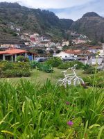 Im Zentrum von Porto Moniz