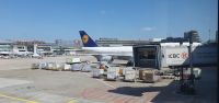 20230526_113002 Verspätung in Frankfurt und Flieger nach Glasgow verpasst. 
