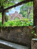 0411 Park von Bussaco.jpg