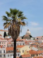 0614 Lissabon.jpg