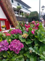 Im Garten von Emanuel