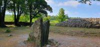 20230530 093744 Clava Cairns
