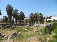 Kos, Agora
