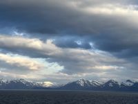 Hurtigruten - MS Spitsbergen - Island