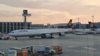 Flughafen Frankfurt, A340-600 - ein Supervogel !!