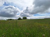 Carrowmore