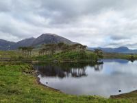 Connemara