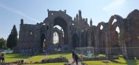 20230603 101411 Melrose Abbey