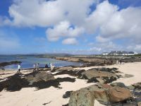 Kaiserwetter am Korallenstrand