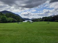 im Park von Muckross House