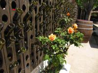 Rhodos, Weinverkostung 