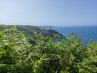 Blick auf die Plemont Bay