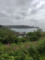 Küstenwanderung auf Guernsey