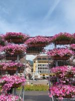Bozen, Walterplatz