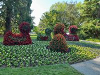 Insel Mainau