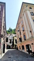 Blick auf die Burg von Ljubljana
