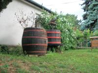 Weinprobe