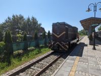 Zugmaschine in Trzesacz