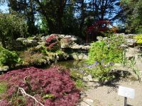 Samares Manor - Japanischer Garten