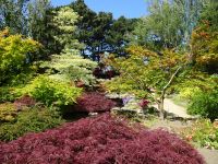 Samares Manor - Japanischer Garten