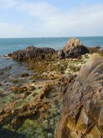 Jersey - Inselrundfahrt - Küste bei La Rocque