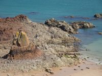 Jersey - Beauport