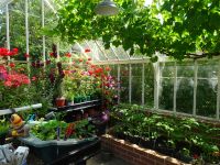 ... ihrem Gewächshaus...