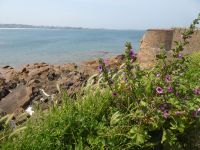 Guernsey - Fort Hommet