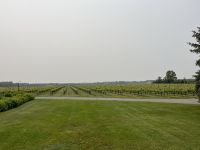 Weingut Raphael