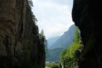 Im Hintergrund schneebedeckte Berge 