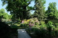 Überall Blütenpracht