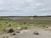 9. Reisetag – Von Gort nach Tralee – Spaziergang im Coole Park – Fast ausgetrockneter Turlough