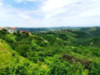 Landschaft der kleinsten Weinregion Sloweniens
