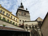 Sighisoara 