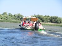 Donaudelta mit Schnellboot
